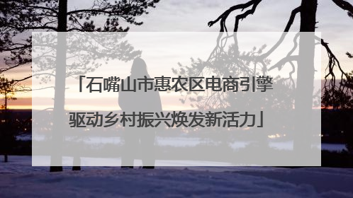 石嘴山市惠农区电商引擎驱动乡村振兴焕发新活力