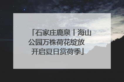 石家庄鹿泉丨海山公园万株荷花绽放 开启夏日赏荷季