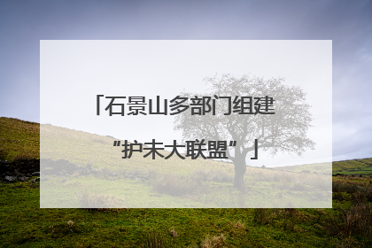 石景山多部门组建“护未大联盟”