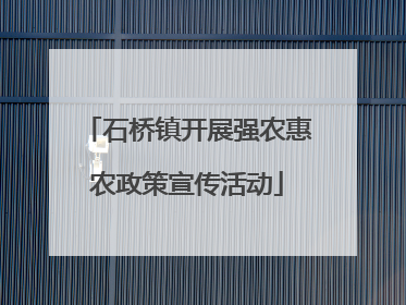 石桥镇开展强农惠农政策宣传活动