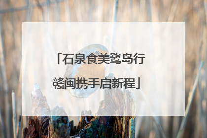 石泉食美鹭岛行 赣闽携手启新程