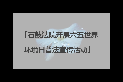 石鼓法院开展六五世界环境日普法宣传活动