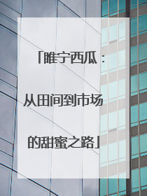 睢宁西瓜：从田间到市场的甜蜜之路