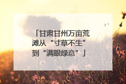 甘肃甘州万亩荒滩从“寸草不生”到“满眼绿意”