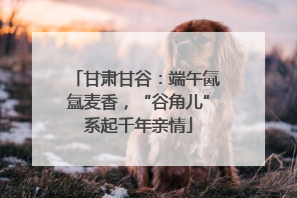 甘肃甘谷：端午氤氲麦香，“谷角儿”系起千年亲情