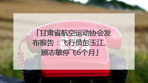 甘肃省航空运动协会发布报告：飞行员彭玉江、顾志敏停飞6个月