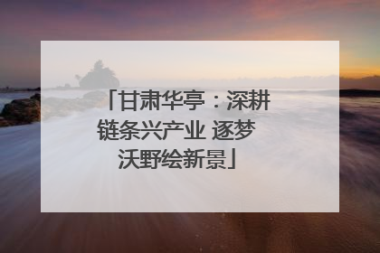 甘肃华亭：深耕链条兴产业 逐梦沃野绘新景