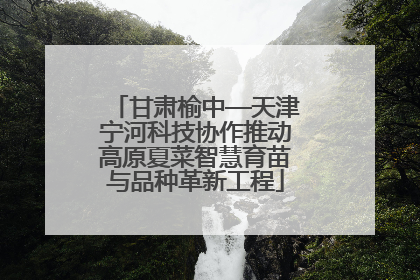 甘肃榆中—天津宁河科技协作推动高原夏菜智慧育苗与品种革新工程