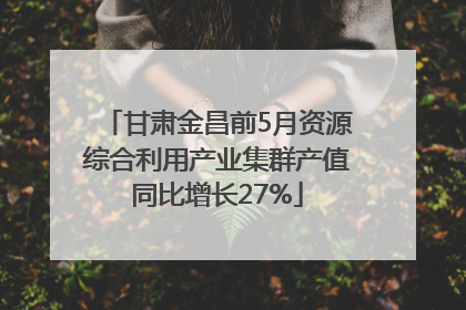 甘肃金昌前5月资源综合利用产业集群产值同比增长27%