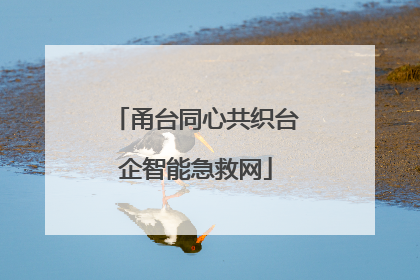甬台同心共织台企智能急救网