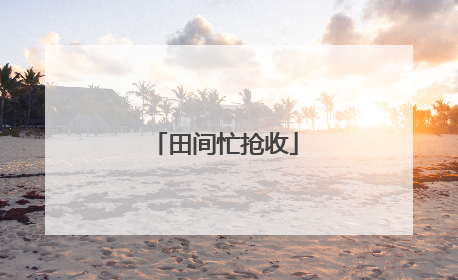 田间忙抢收