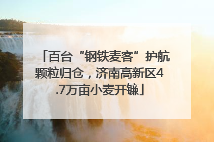 百台“钢铁麦客”护航颗粒归仓，济南高新区4.7万亩小麦开镰