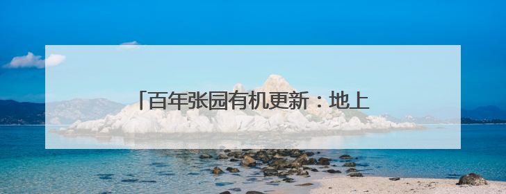 百年张园有机更新：地上“行走”，地下“生长”