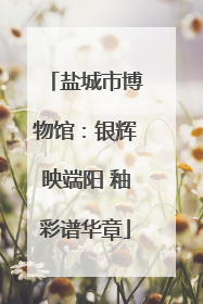 盐城市博物馆：银辉映端阳 釉彩谱华章