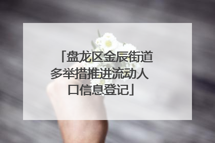 盘龙区金辰街道多举措推进流动人口信息登记