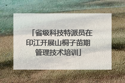 省级科技特派员在印江开展山桐子苗期管理技术培训