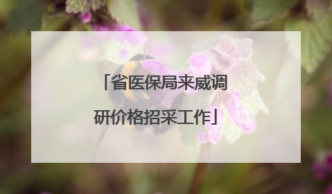 省医保局来威调研价格招采工作