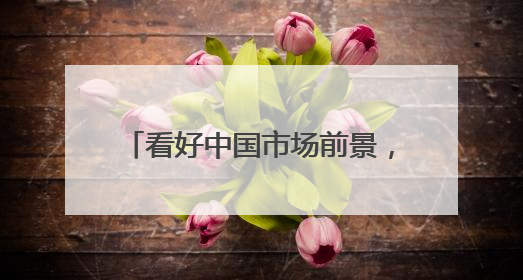 看好中国市场前景，高压领域工业巨头Quintus科技深化本土策略，构建全方位服务亚太区总部