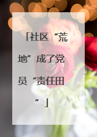 社区“荒地”成了党员“责任田”