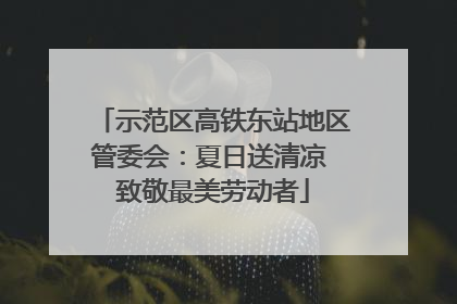 示范区高铁东站地区管委会：夏日送清凉 致敬最美劳动者