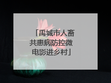 禹城市人畜共患病防控微电影进乡村