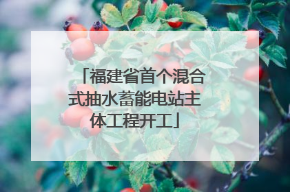 福建省首个混合式抽水蓄能电站主体工程开工