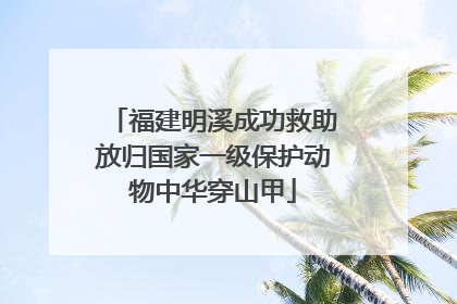 福建明溪成功救助放归国家一级保护动物中华穿山甲