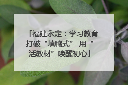 福建永定：学习教育打破“填鸭式” 用“活教材”唤醒初心
