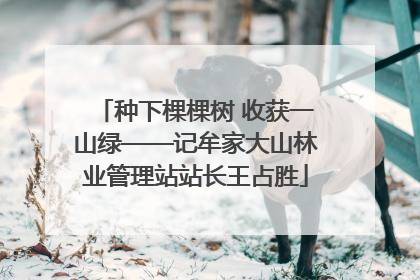 种下棵棵树 收获一山绿——记牟家大山林业管理站站长王占胜
