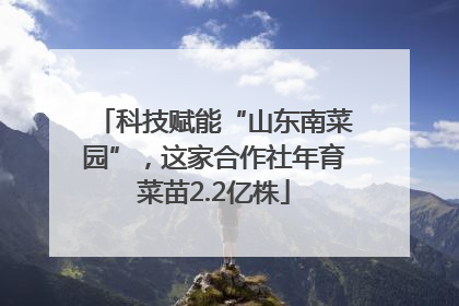 科技赋能“山东南菜园”，这家合作社年育菜苗2.2亿株