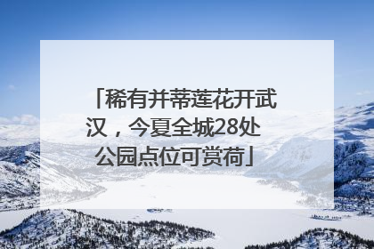 稀有并蒂莲花开武汉，今夏全城28处公园点位可赏荷