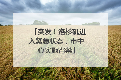 突发！洛杉矶进入紧急状态，市中心实施宵禁