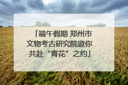 端午假期 郑州市文物考古研究院邀你共赴“青花”之约