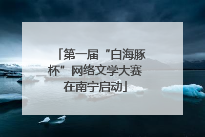 第一届“白海豚杯”网络文学大赛在南宁启动