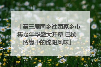 第三届同乡社团家乡市集嘉年华盛大开幕 巴蜀情缘中的绵阳风味