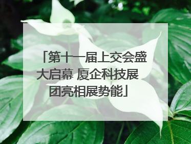 第十一届上交会盛大启幕 厦企科技展团亮相展势能