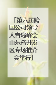 第六届跨国公司领导人青岛峰会山东省开发区专场推介会举行