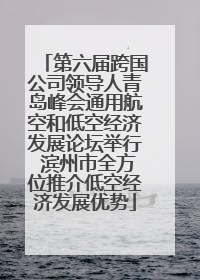 第六届跨国公司领导人青岛峰会通用航空和低空经济发展论坛举行 滨州市全方位推介低空经济发展优势