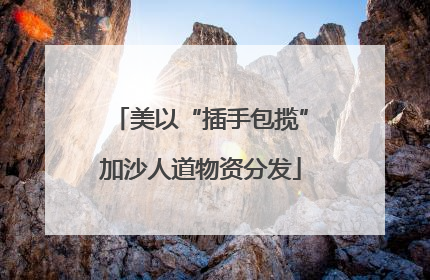 美以“插手包揽”加沙人道物资分发