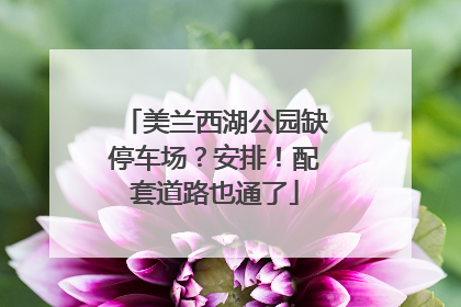 美兰西湖公园缺停车场？安排！配套道路也通了