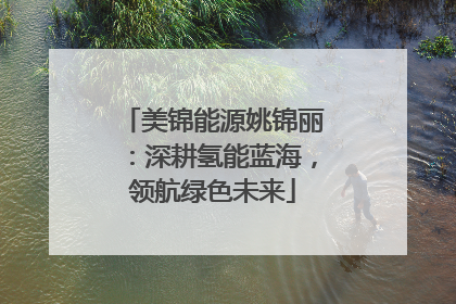 美锦能源姚锦丽：深耕氢能蓝海，领航绿色未来