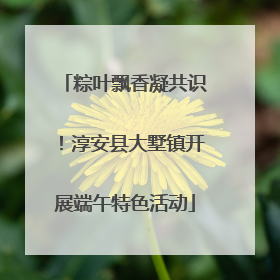 粽叶飘香凝共识！淳安县大墅镇开展端午特色活动