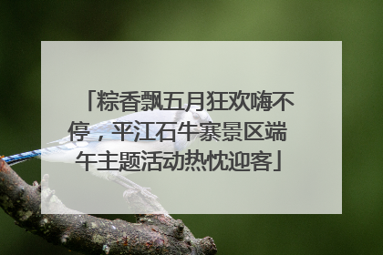 粽香飘五月狂欢嗨不停，平江石牛寨景区端午主题活动热忱迎客