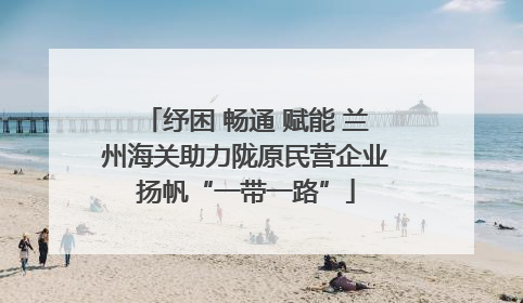 纾困 畅通 赋能 兰州海关助力陇原民营企业扬帆“一带一路”