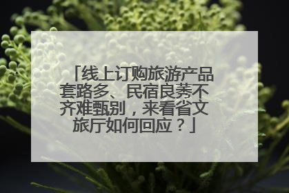 线上订购旅游产品套路多、民宿良莠不齐难甄别，来看省文旅厅如何回应？
