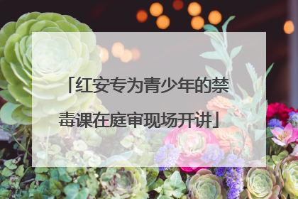 红安专为青少年的禁毒课在庭审现场开讲