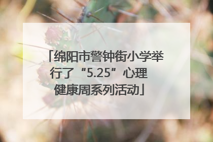 绵阳市警钟街小学举行了“5.25”心理健康周系列活动