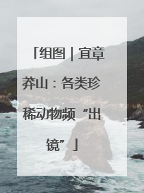组图｜宜章莽山：各类珍稀动物频“出镜”