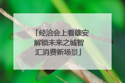 经洽会上看雄安 解锁未来之城智汇消费新场景