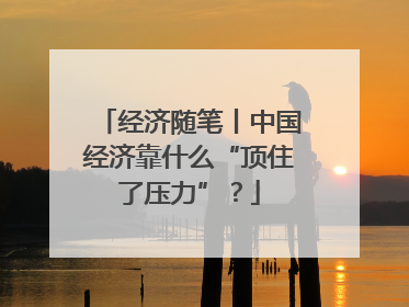 经济随笔丨中国经济靠什么“顶住了压力”？